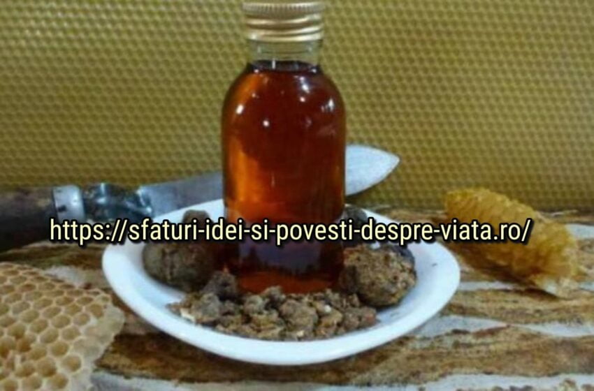  Angina, amigdalita și consecințele lor severe – toate sunt tratate prin aceste remedii excelente! Aplicați și veți scăpa de probleme!