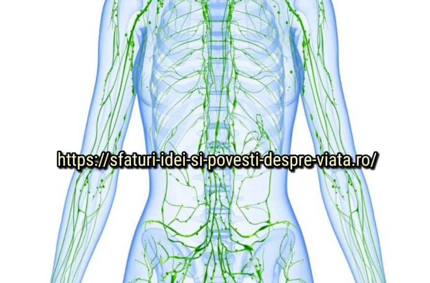  Sistemul limfatic: funcțiile pe care le îndeplinește și detoxifierea acestuia