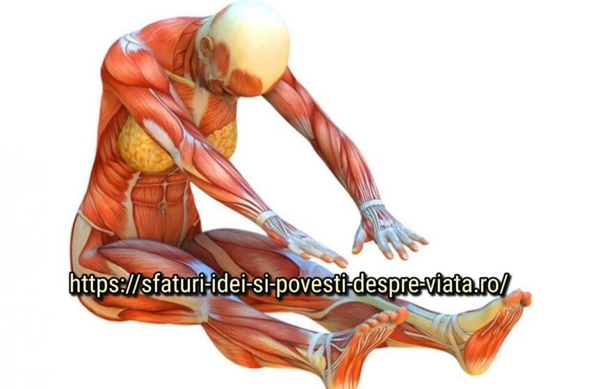  Acestea 5 exerciții puternice vor ajuta la funcționarea organelor și a sistemelor interne, ameliorarea durerilor de cap și a excesului de grăsime corporală.