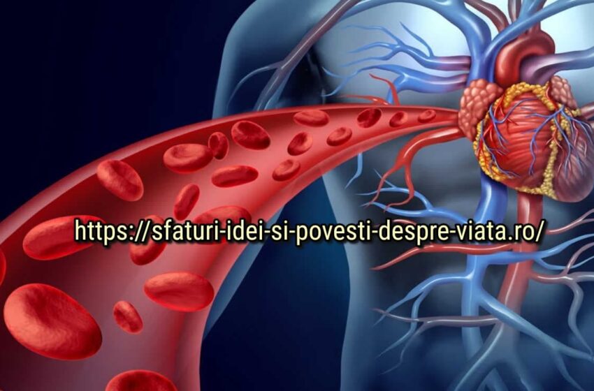  Sângele curat este fundația! Deseori luăm pastile și alergăm la doctori când tot ce trebuie să facem este să curățăm sângele!