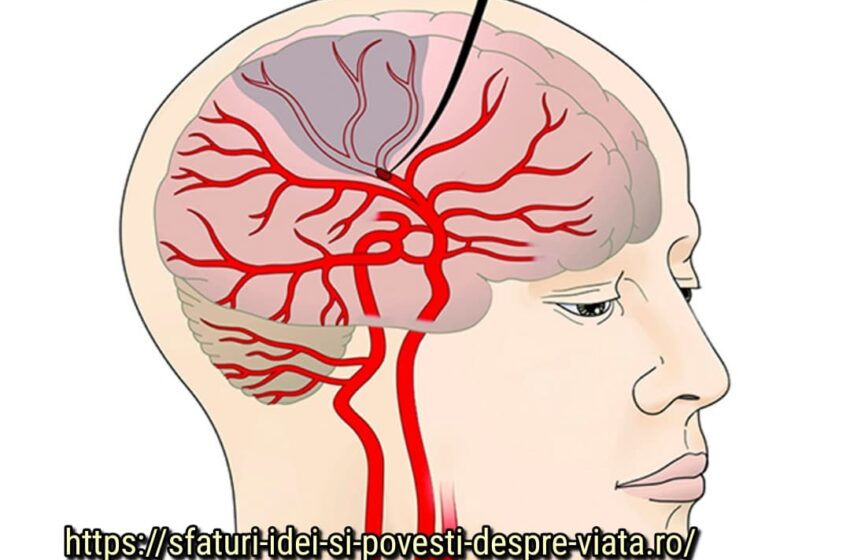  Super test!!! Acest test îți va spune mai multe despre tine decât un psiholog