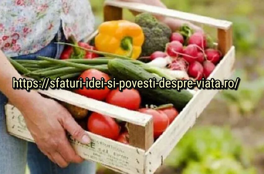  14 cele mai eficiente sfaturi pentru grădinari