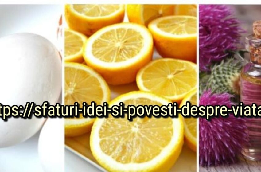  Mască de păr cu ou – 8 cele mai bune rețete de casă