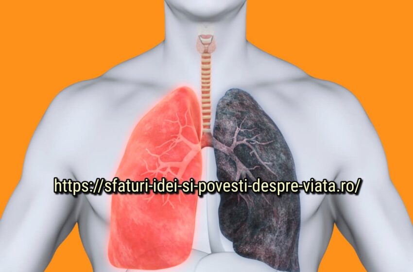 Curățarea plămânilor: Colecția de rețete de aur