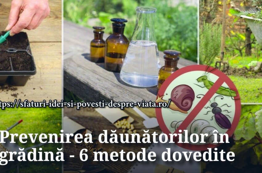  Prevenirea dăunătorilor în grădină – 6 metode dovedite