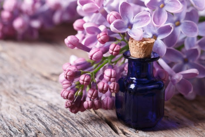  Tinctura de liliac ajută la reumatism, gută, artrită, depuneri de sare. Preparare și utilizare