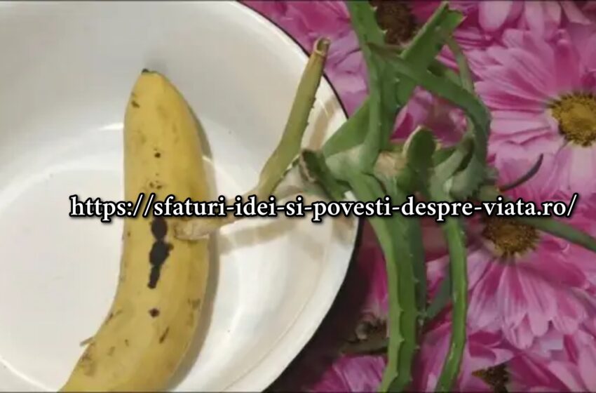  Trucuri de viață pentru flori pentru a ajuta la creșterea plantelor frumoase și fertile acasă