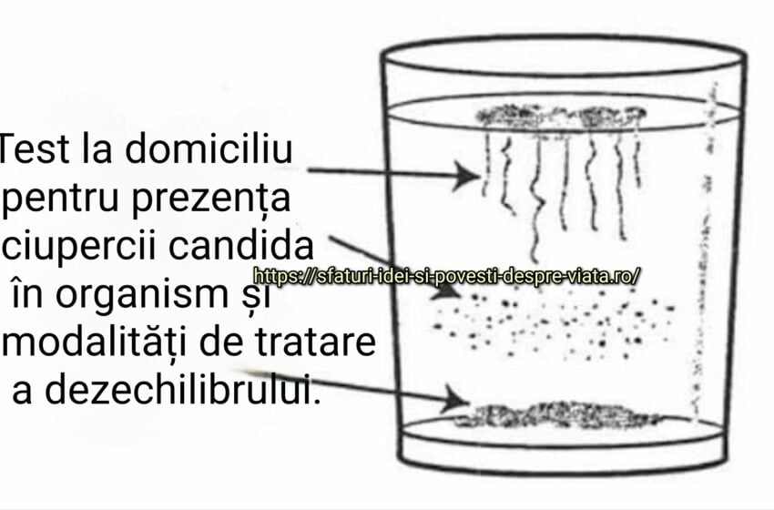  Test la domiciliu pentru prezența ciupercii candida în organism,cauze și simptome