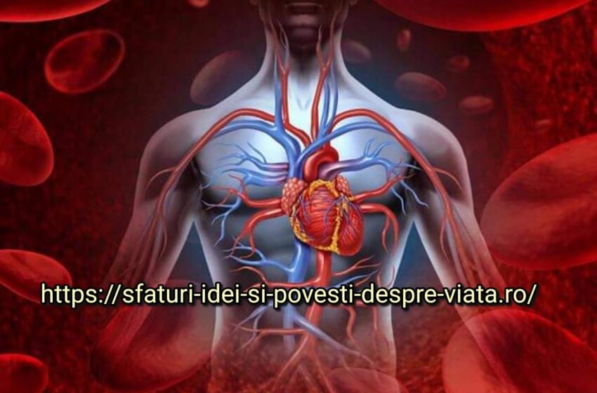  Medicina naturista ne ofera cele mai bune metode de a curăța sângele și vasele de sânge