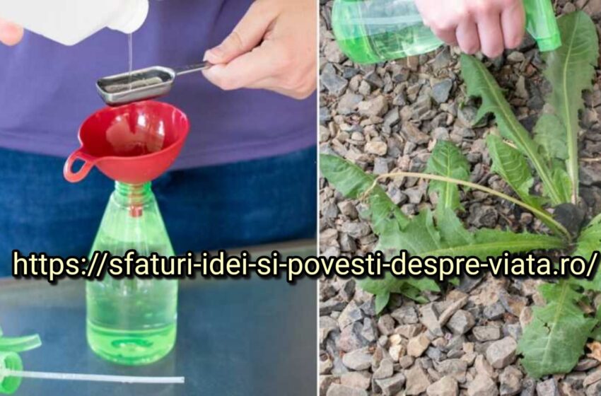  Zece modalități naturale de a distruge buruienile în grădina ta