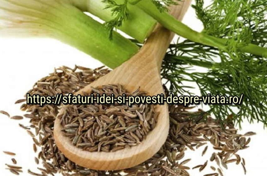  Dacă avem fenicul în casa, nu avem nevoie de medicamente. Feniculul va ajuta la multe boli