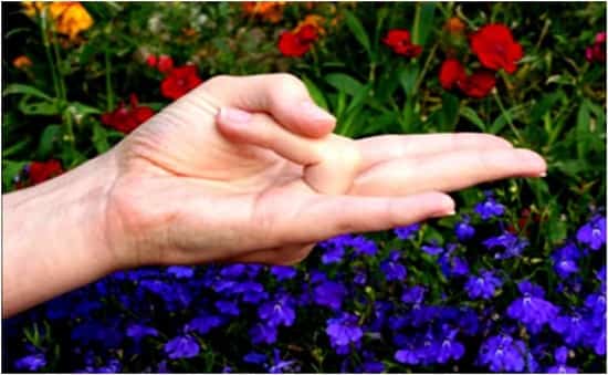  7 mudre puternice care vă transformă mâinile în medicament
