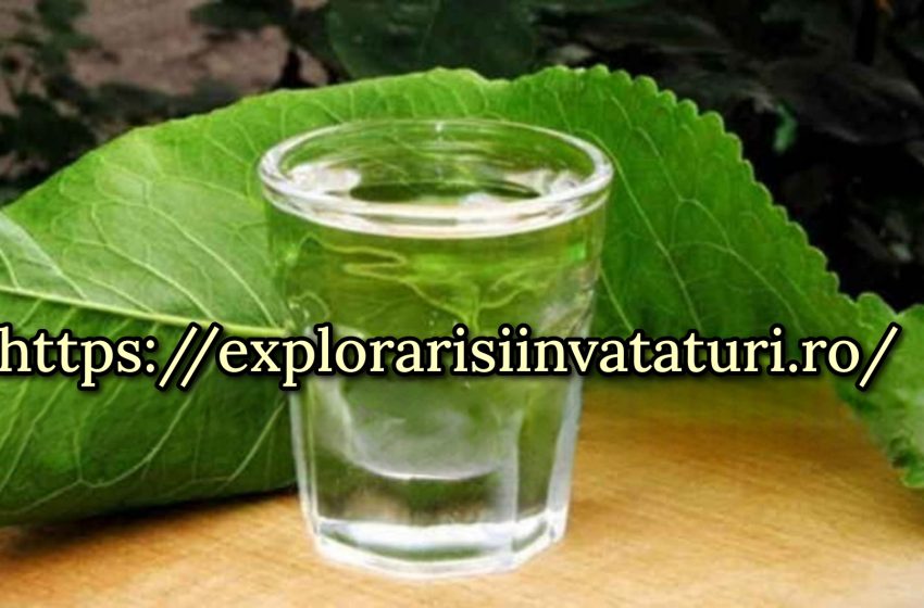  Frunzele de hrean vindeca ciroza: o rețetă veche a satului. Și alte moduri mai eficiente de a trata o boală teribilă