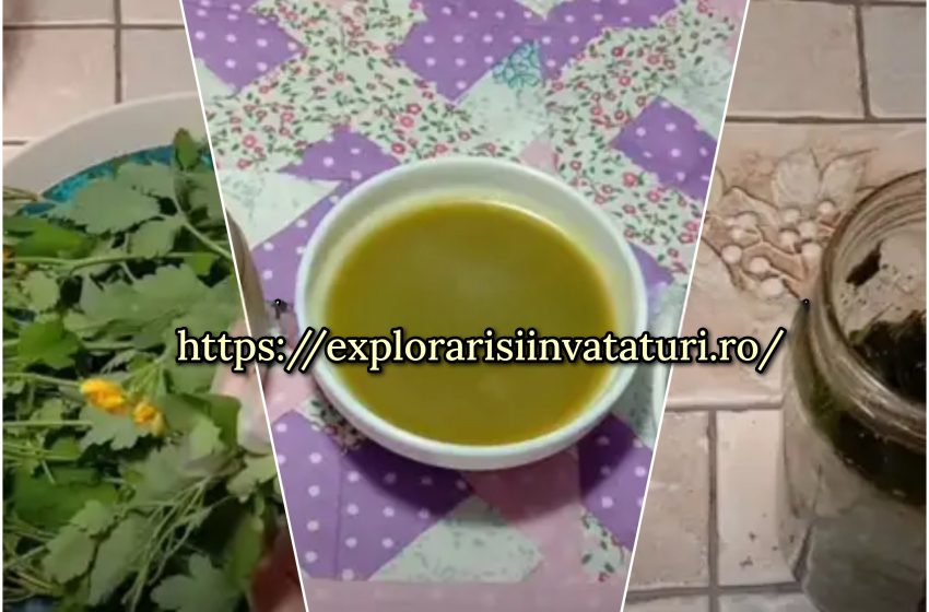  Pentru negi, papiloame, ciuperci și răni – un unguent eficient de rostopască preparat acasa