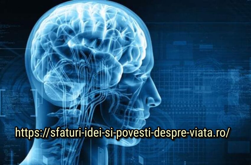  Fitness pentru creier: exerciții non-standard care îți intineresc creierul