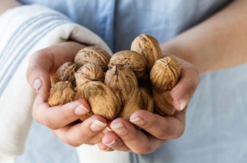  15 rețete de tratament cu nuci. Nu aruncați nici cojile- acestea sunt un medicament valoros!