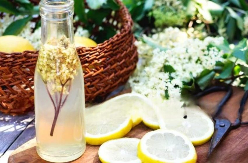  13 rețete delicioase cu floare de soc