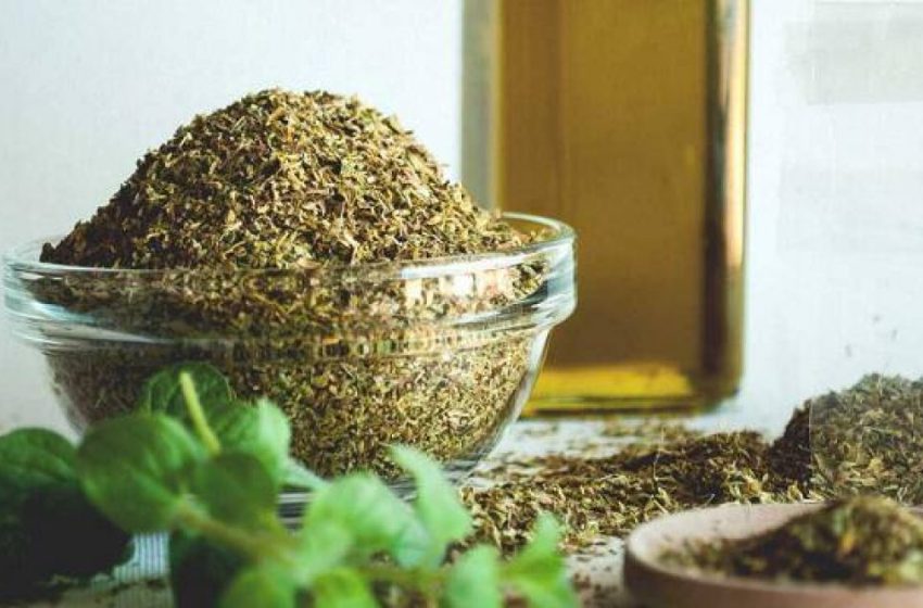  Oregano: Planta umilă care vindecă aproape totul și nu costă nimic