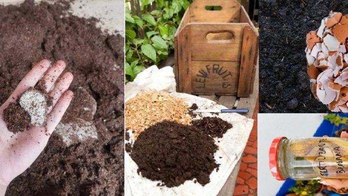  Cum să faci 8 tipuri de îngrășăminte organice de casă pentru plante