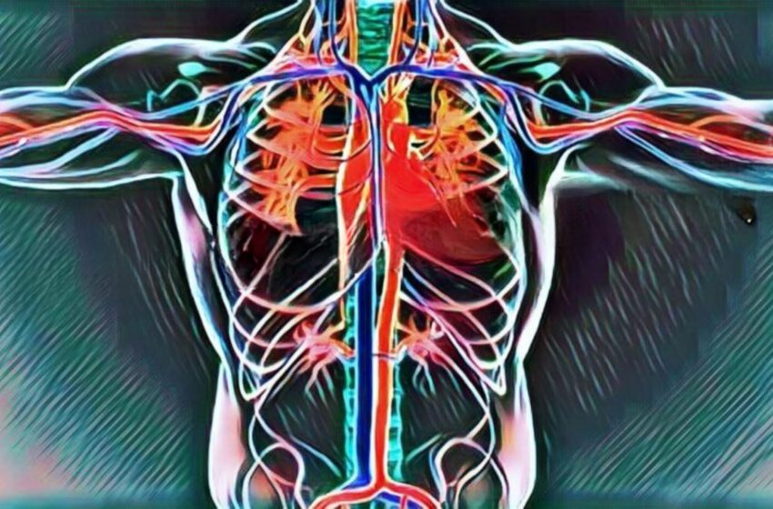  19 cele mai bune sfaturi despre cum să îmbunătățiți circulația sângelui în organism