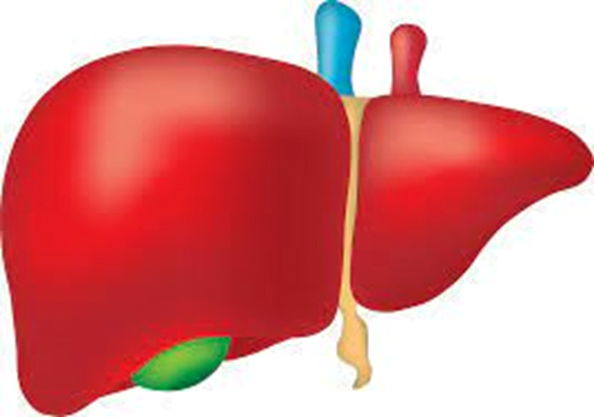  Ce provoacă cel mai adesea ciroza hepatică? Simptome, cauze, factori de risc