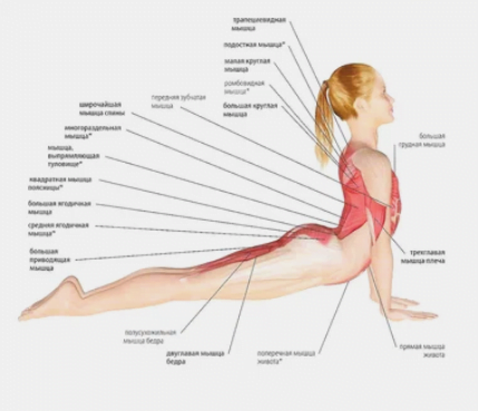  5 exerciții pentru a preveni și a trata bolile tiroidiene