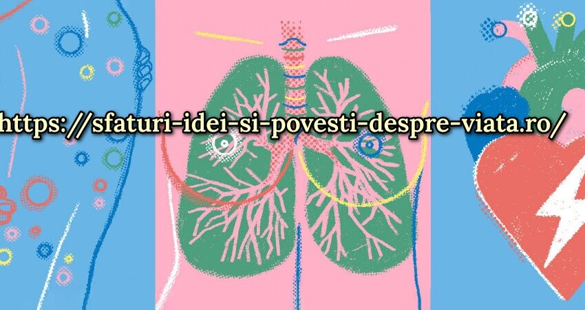  Ce este limfa și cum să o ajuți: 3 moduri simple de a o îmbunătăți