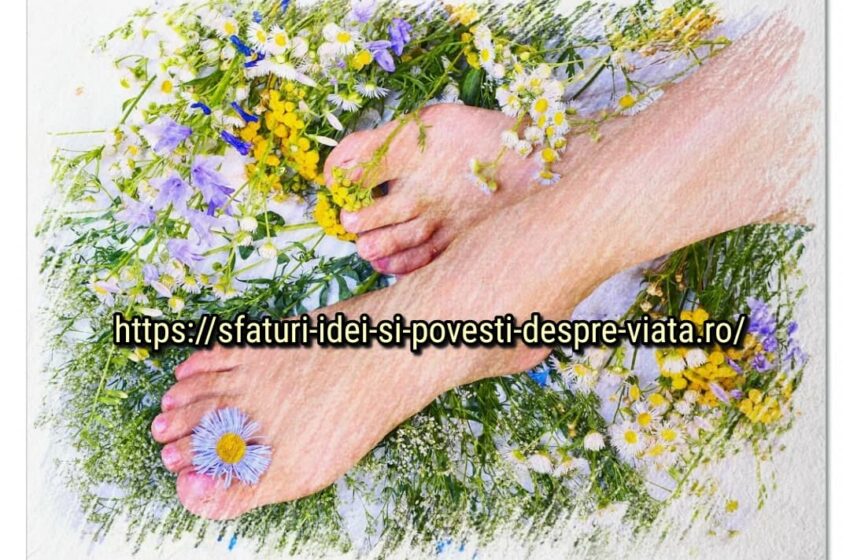  În sistemul tradițional chinez de vindecare, se crede că sănătatea vine și trece prin picioare. Picioarele sănătoase înseamnă un corp sănătos.