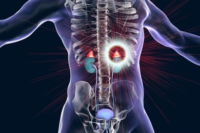  Vitamina B12: sistem nervos sănătos, glande suprarenale sanatoase, metabolism bun