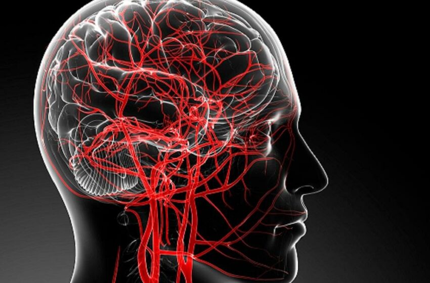  Cum să îmbunătățești circulația cerebrală? 5 sfaturi simple de la un neurolog