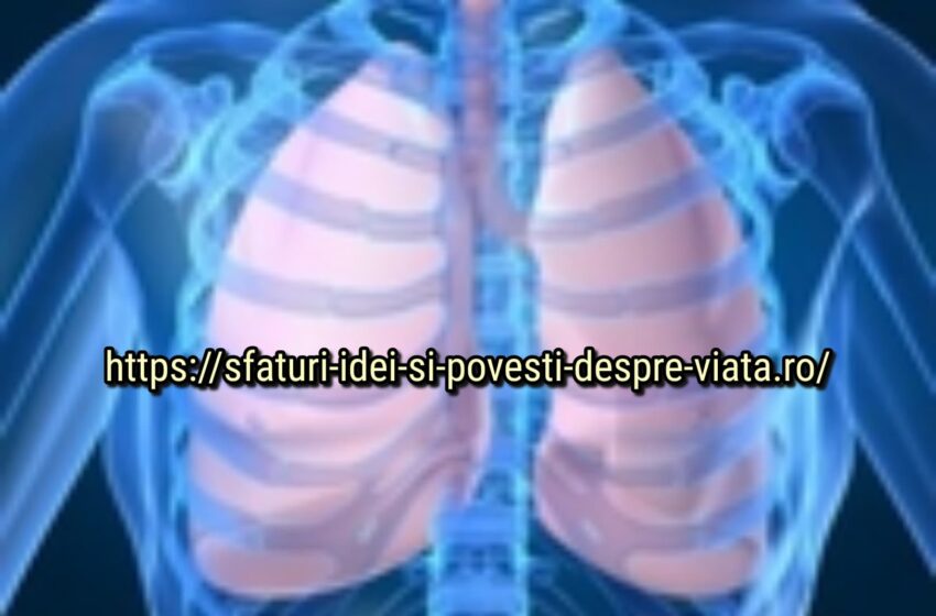  Curățarea sistemului respirator. Rețete naturale pentru tratamentul respirației.