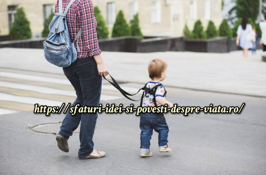  Mama îi pune fiului ei o lesă pentru copii și  a primit o mulțime de comentarii urâte de la alte mame