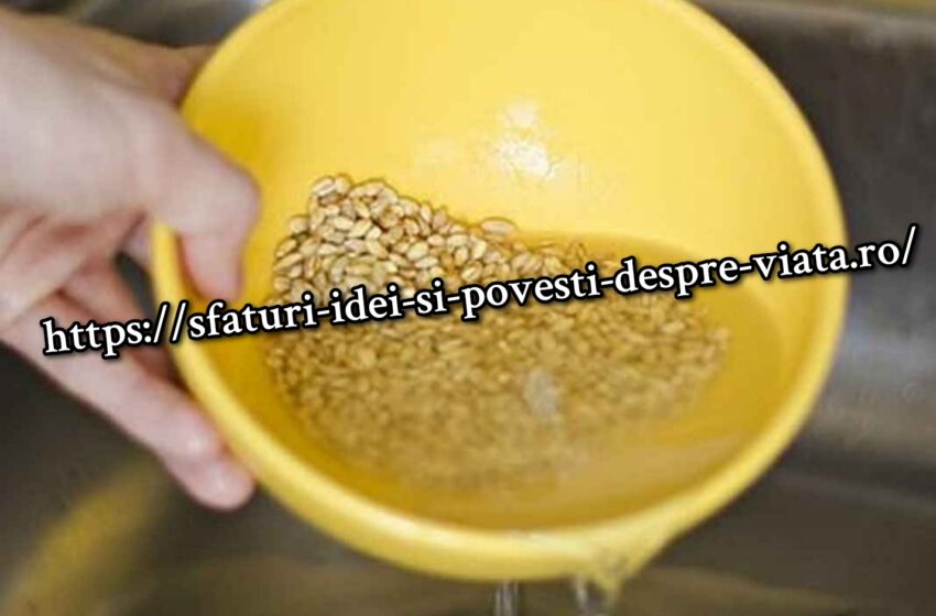  Retete de tratare cu apa de orz: scade colesterolul, vindeca vezica urinara, intareste inima, ajuta la slăbire.