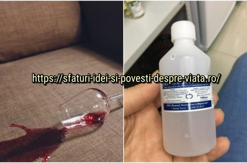  Cum să curățați mobilierul tapițat pentru a îndepărta petele fără a distruge tapițeria: 6 pași (cu imagini)