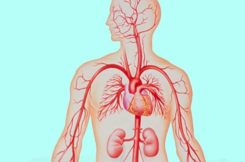  Durerea musculară și vederea încețoșată pot indica sânge gros.Principalele simptome ale sângelui gros.