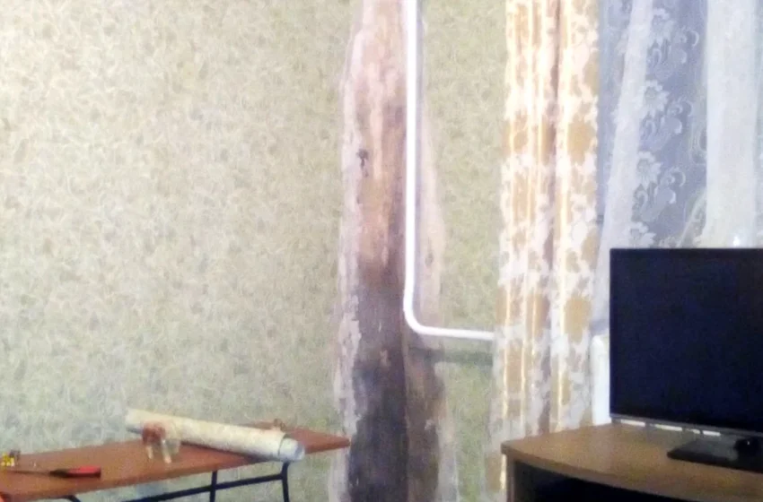  Cum să înțelegeți că aerul din apartament este prea umed și modalități eficiente de a scăpa de umezeală