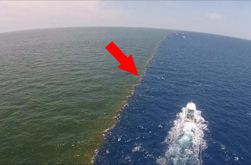  10 cele mai interesante, frumoase și uneori periculoase fenomene care apar în ocean.