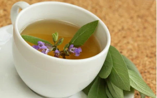  Salvia vine din cuvântul latin  „a salva”. Iarba sacră”, „iarba longevității”, „iarba minune”.Folosiți salvia ca să fiți sănătoși!