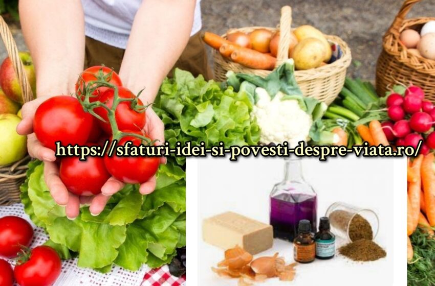  Să ajutăm recolta in gradina.Produse de protecție a plantelor