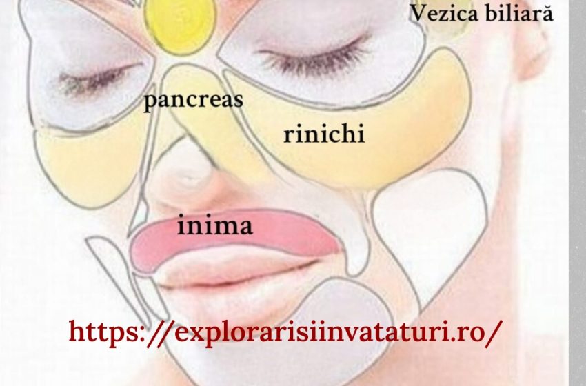  Potrivit medicinei chineze, care are mai mult de 5 mii de ani, fața este o imagine în oglindă a sănătății.