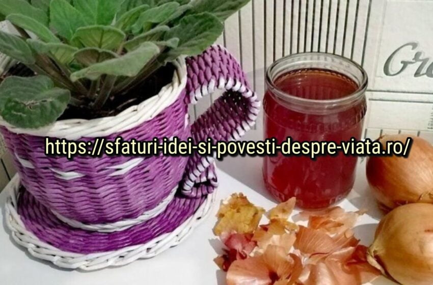  Infuzie de ceapă împotriva dăunătorilor plantelor de interior