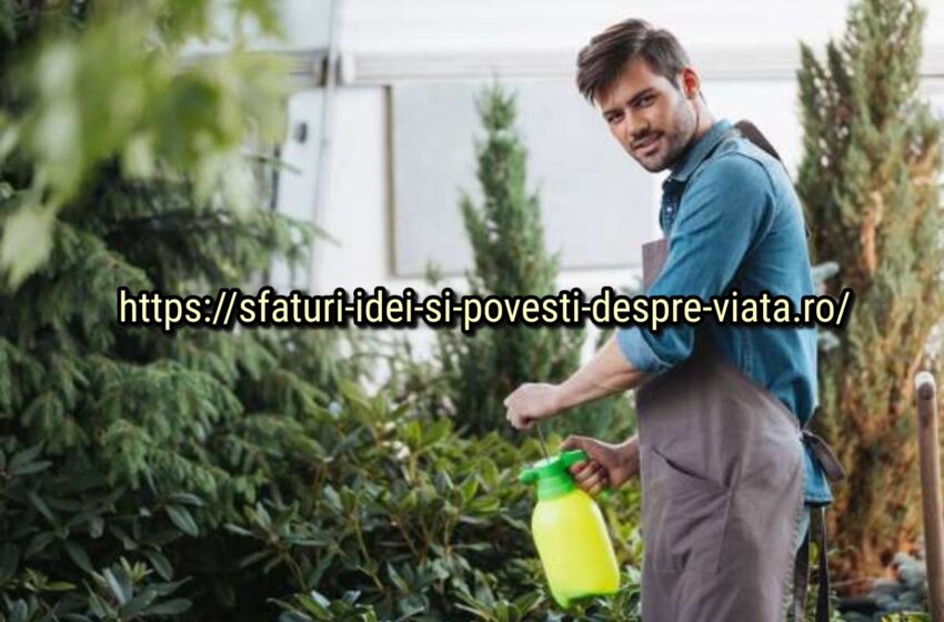  Combatem dăunătorii din grădinile și livezile noastre.Luam măsurile necesare pentru a le creste imunitatea și a le feri de daunatori.