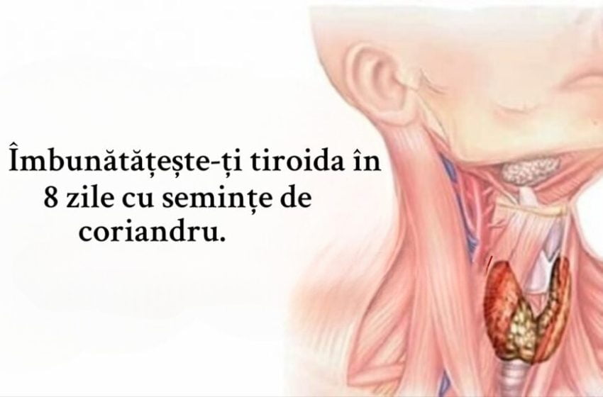 Îmbunătățește-ți tiroida în 8 zile cu semințe de coriandru si încă o rețetă pe baza de hrișcă.