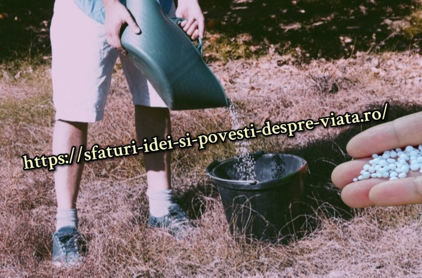  Folosim uree pentru a hrăni și proteja merii: sfaturile și recomandările mele