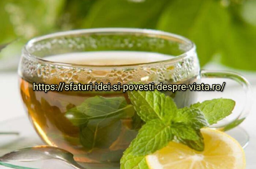  Bautura de urzica pentru slabit si combaterea celulitei