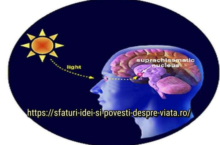  Melatonina: Controlează ritmul circadian, starea de spirit, reproducerea, greutatea, chiar și cancerul