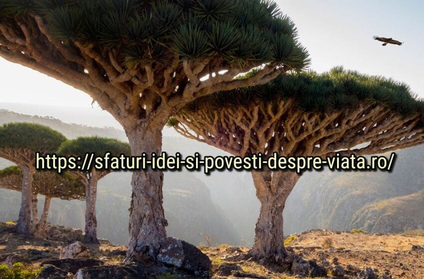  10 locuri uimitoare de pe Pământ protejate de UNESCO