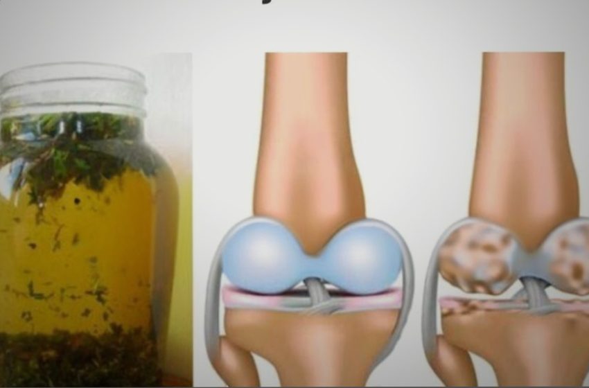  Menta cu rozmarin REGENEREAZĂ cartilajul deteriorat al șoldului și genunchiului și în alte locuri ale corpului