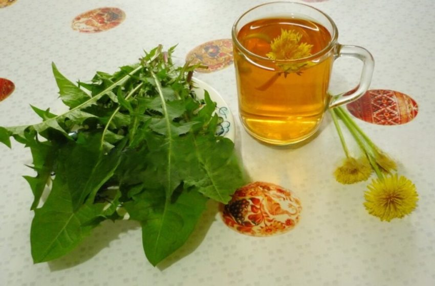  O infuzie pe bază de păpădie uscata si bile din papadie poate face minuni după un accident vascular sau alte afecțiuni.