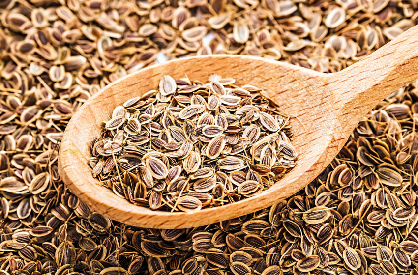  Ochii mei sunt pâinea mea. Cum am vindecat cataracta cu semințe de mărar